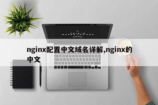 nginx配置中文域名详解,nginx的中文