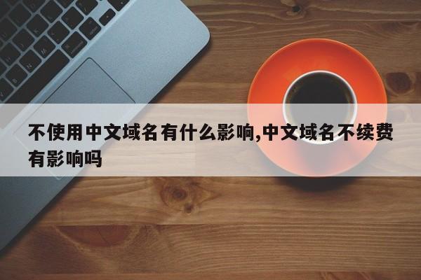 不使用中文域名有什么影响,中文域名不续费有影响吗