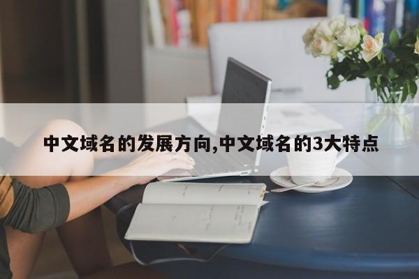 中文域名的发展方向,中文域名的3大特点