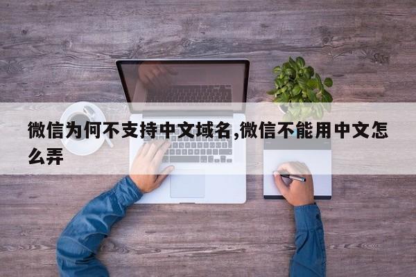 微信为何不支持中文域名,微信不能用中文怎么弄