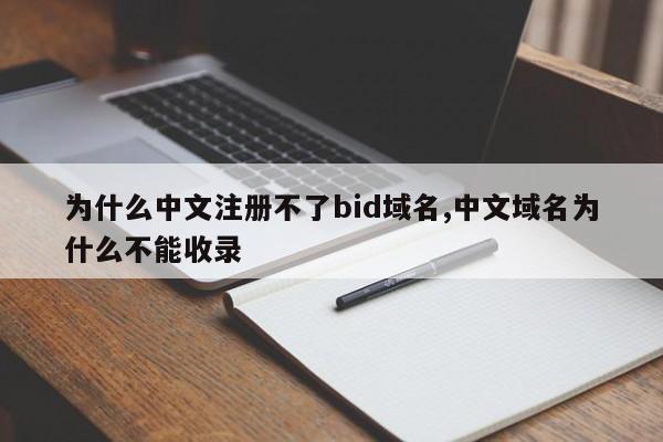 为什么中文注册不了bid域名,中文域名为什么不能收录