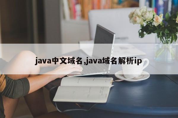 java中文域名,java域名解析ip