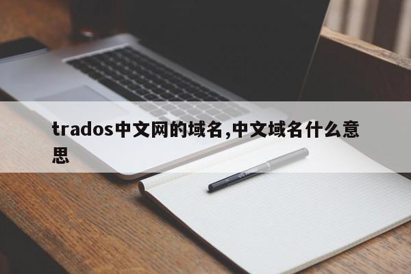 trados中文网的域名,中文域名什么意思