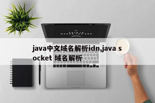 java中文域名解析idn,java socket 域名解析