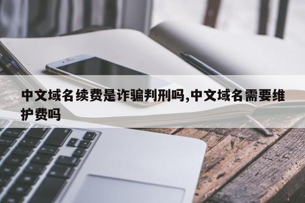 中文域名续费是诈骗判刑吗,中文域名需要维护费吗