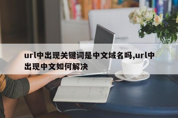 url中出现关键词是中文域名吗,url中出现中文如何解决