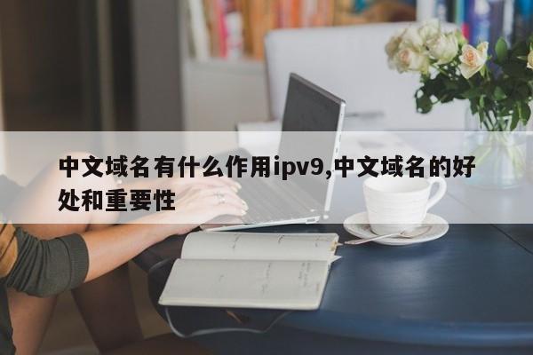 中文域名有什么作用ipv9,中文域名的好处和重要性