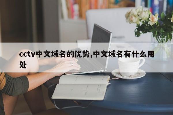 cctv中文域名的优势,中文域名有什么用处