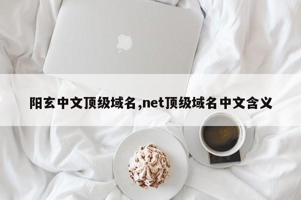 阳玄中文顶级域名,net顶级域名中文含义