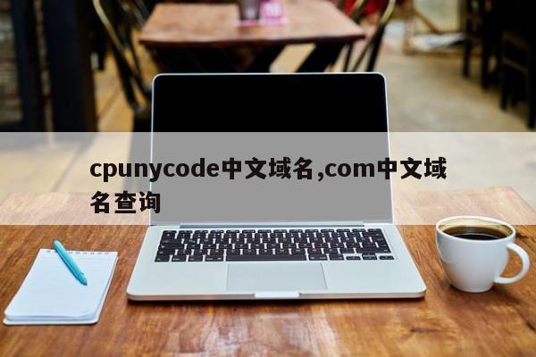 cpunycode中文域名,com中文域名查询