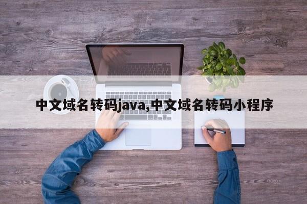 中文域名转码java,中文域名转码小程序
