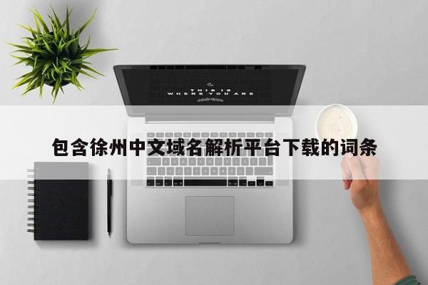 包含徐州中文域名解析平台下载的词条