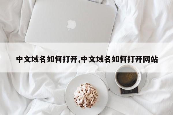 中文域名如何打开,中文域名如何打开网站