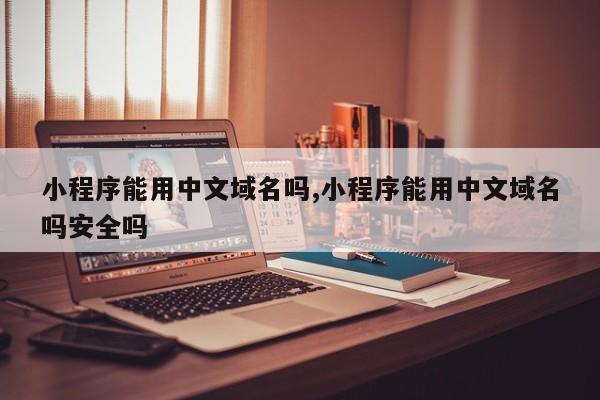 小程序能用中文域名吗,小程序能用中文域名吗安全吗