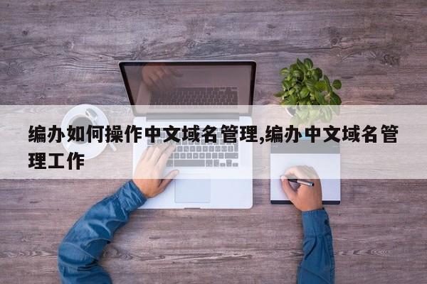 编办如何操作中文域名管理,编办中文域名管理工作
