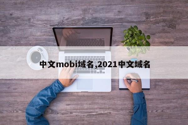 中文mobi域名,2021中文域名
