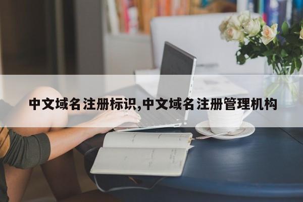 中文域名注册标识,中文域名注册管理机构