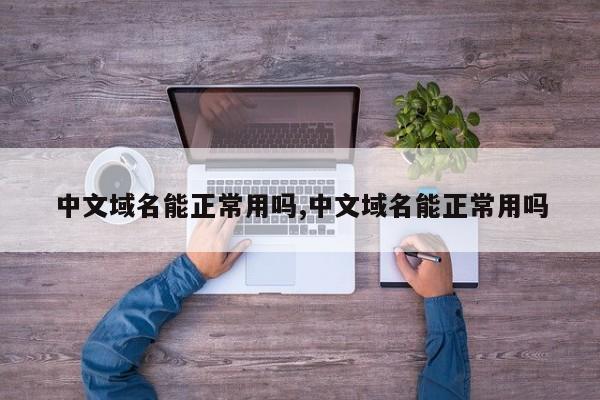 中文域名能正常用吗,中文域名能正常用吗