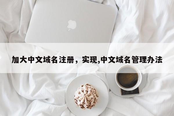 加大中文域名注册，实现,中文域名管理办法