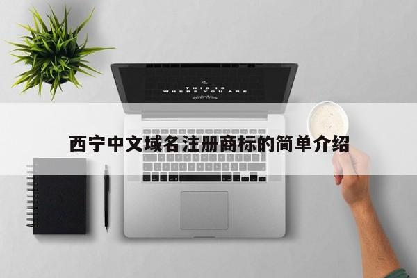 西宁中文域名注册商标的简单介绍