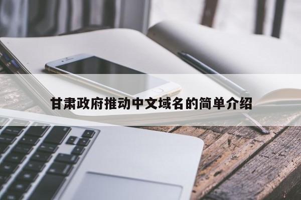 甘肃政府推动中文域名的简单介绍