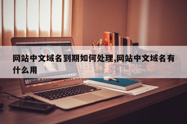 网站中文域名到期如何处理,网站中文域名有什么用