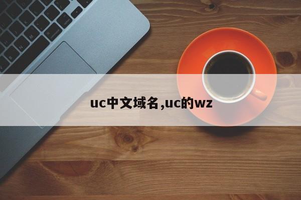 uc中文域名,uc的wz