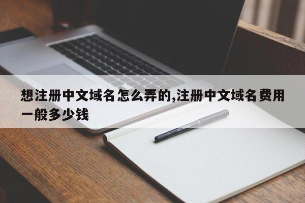 想注册中文域名怎么弄的,注册中文域名费用一般多少钱