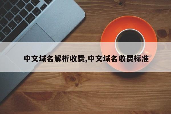 中文域名解析收费,中文域名收费标准