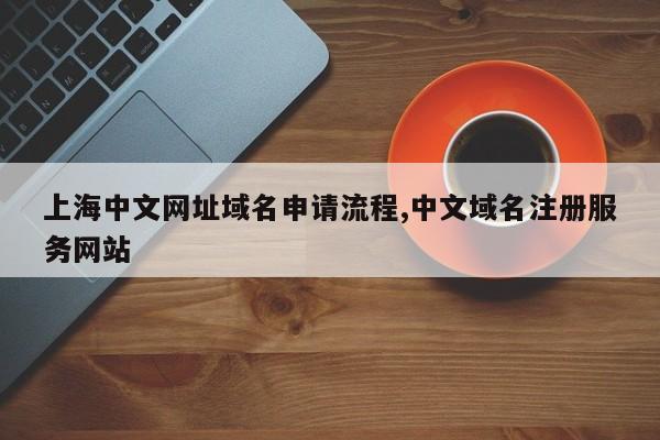 上海中文网址域名申请流程,中文域名注册服务网站