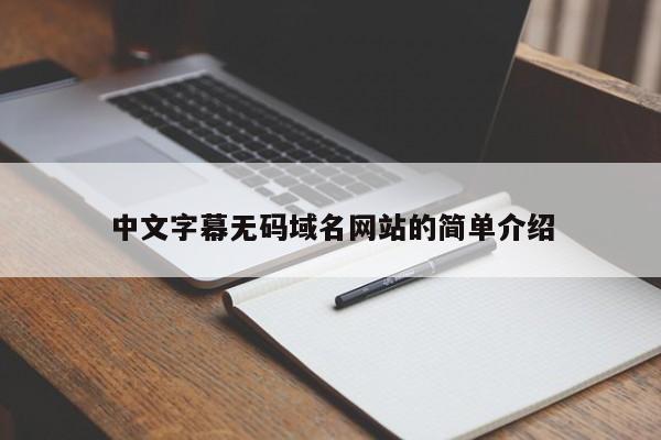 中文字幕无码域名网站的简单介绍