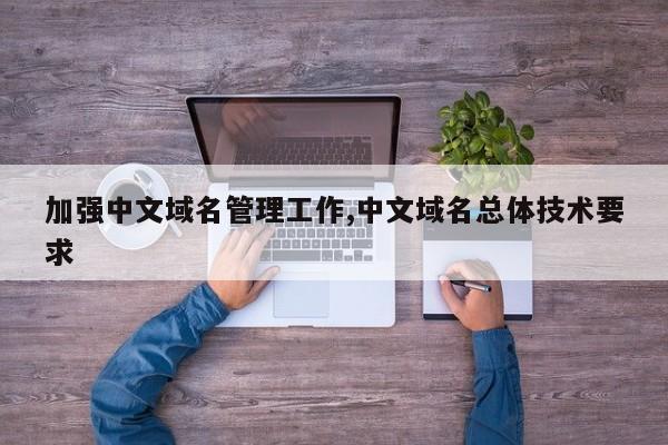 加强中文域名管理工作,中文域名总体技术要求
