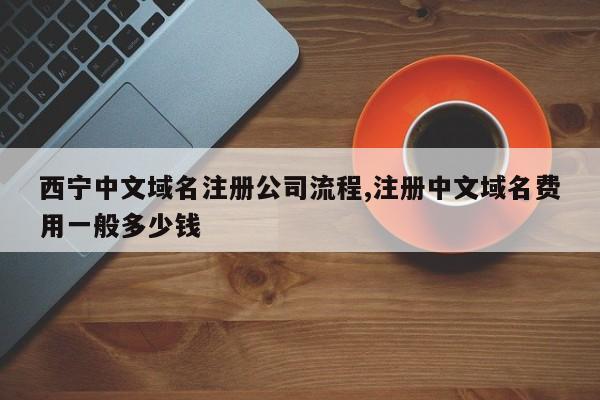西宁中文域名注册公司流程,注册中文域名费用一般多少钱