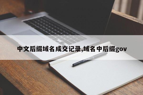 中文后缀域名成交记录,域名中后缀gov