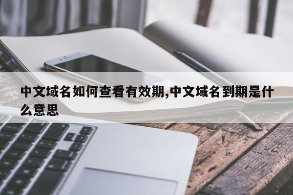 中文域名如何查看有效期,中文域名到期是什么意思