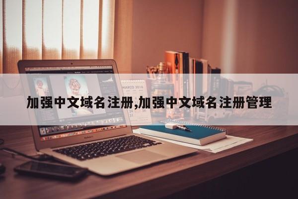 加强中文域名注册,加强中文域名注册管理