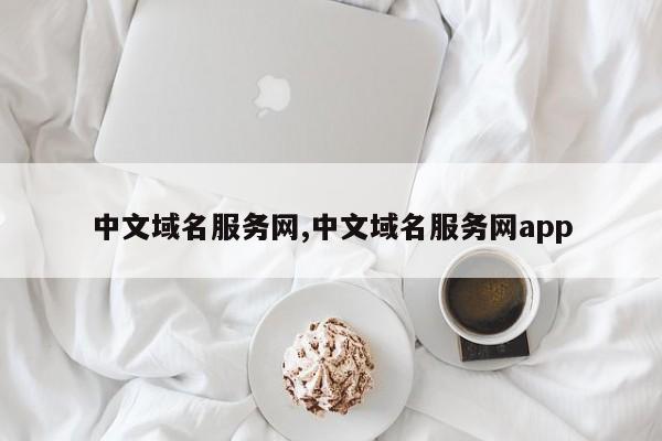 中文域名服务网,中文域名服务网app