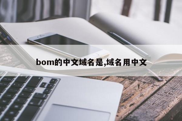 bom的中文域名是,域名用中文