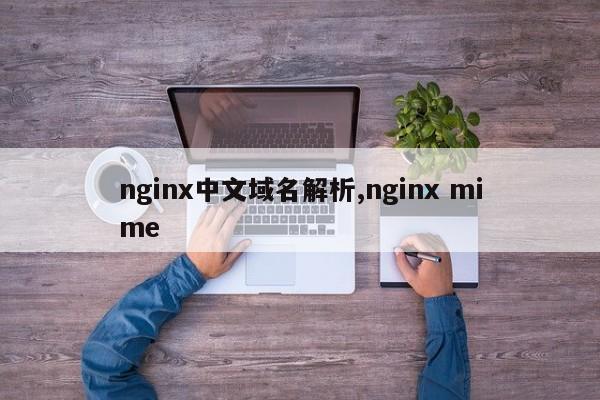 nginx中文域名解析,nginx mime