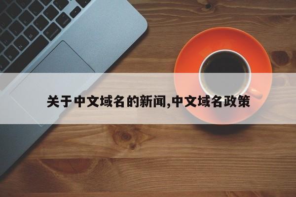 关于中文域名的新闻,中文域名政策