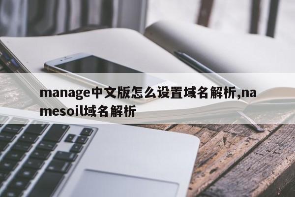 manage中文版怎么设置域名解析,namesoil域名解析