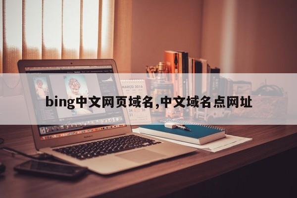 bing中文网页域名,中文域名点网址