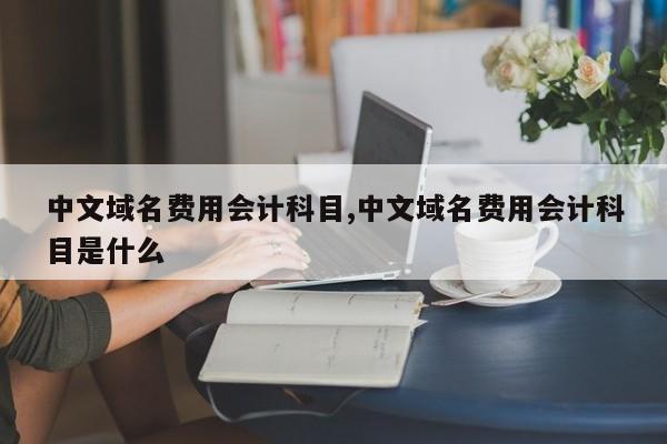 中文域名费用会计科目,中文域名费用会计科目是什么