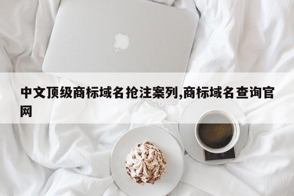 中文顶级商标域名抢注案列,商标域名查询官网