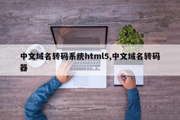 中文域名转码系统html5,中文域名转码器