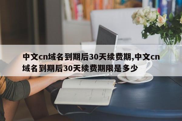 中文cn域名到期后30天续费期,中文cn域名到期后30天续费期限是多少