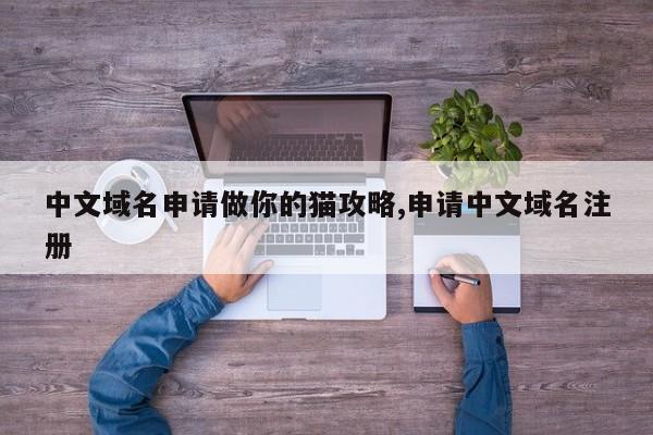 中文域名申请做你的猫攻略,申请中文域名注册