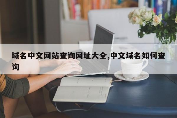 域名中文网站查询网址大全,中文域名如何查询