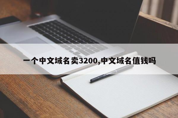 一个中文域名卖3200,中文域名值钱吗