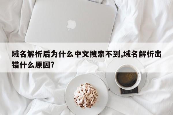 域名解析后为什么中文搜索不到,域名解析出错什么原因?